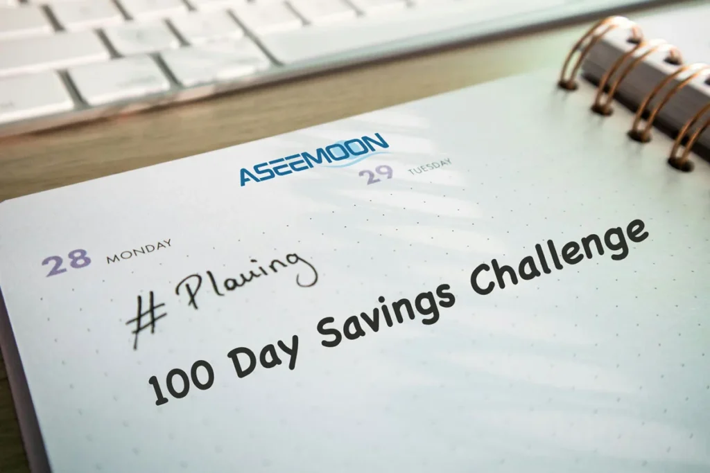 100 Day Savings Challenge