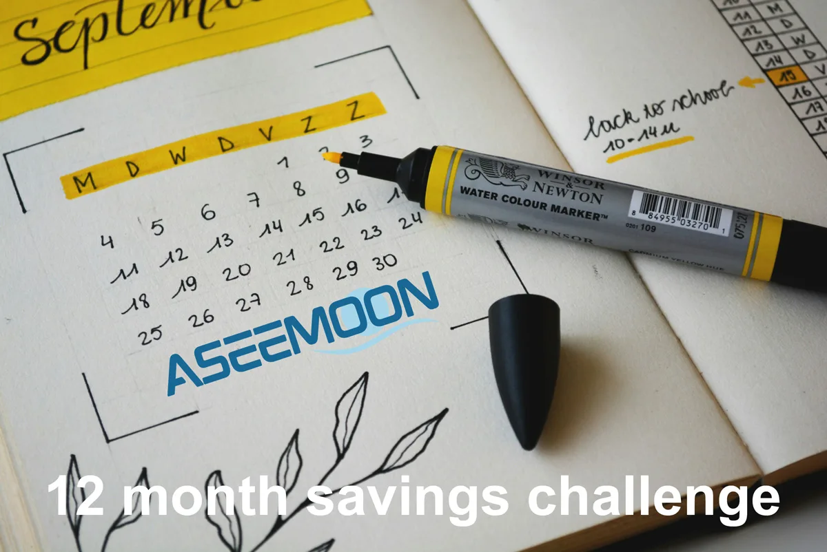 12 month savings challenge