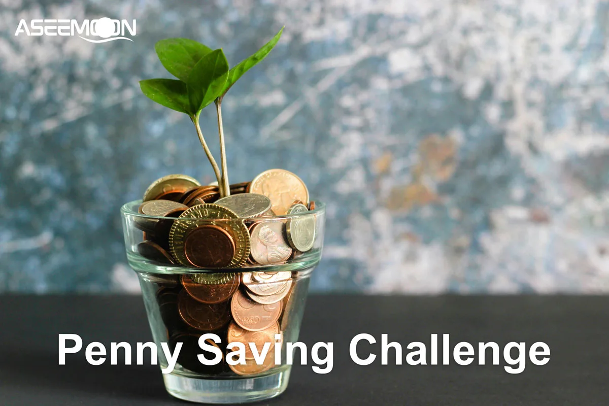 Penny Saving Challenge